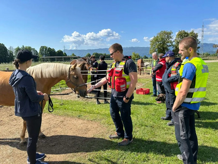 Regijsko tekmovanje 6